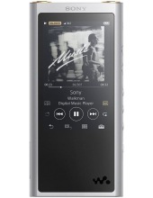mp3  SONY NW-ZX300 ()